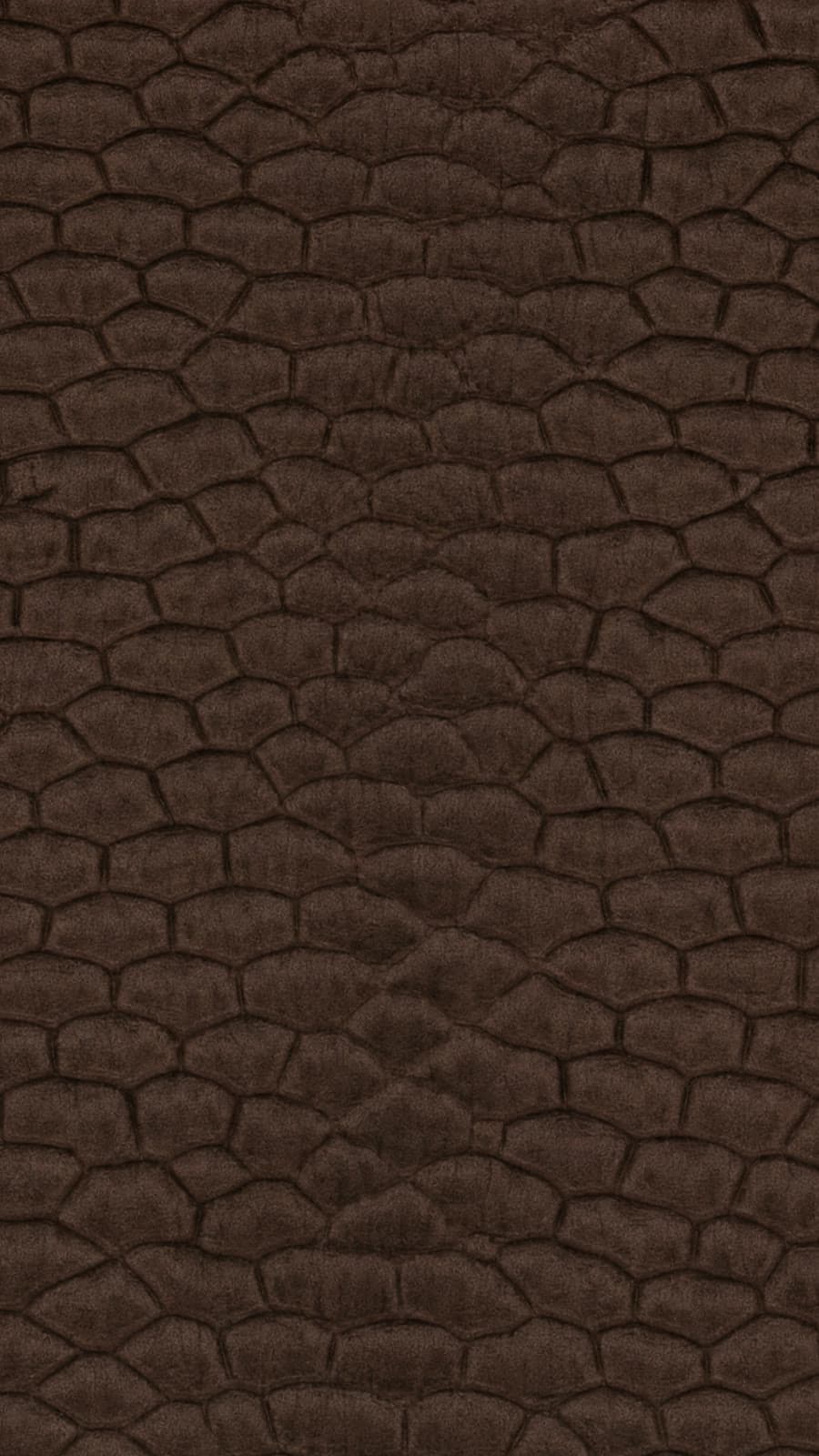 Beaver hide — Chestnut brown, French patina