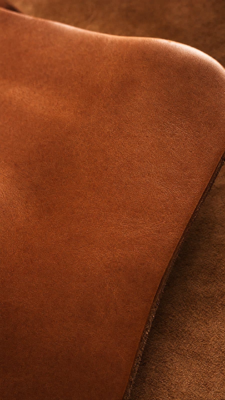 Leather hide — Cognac
