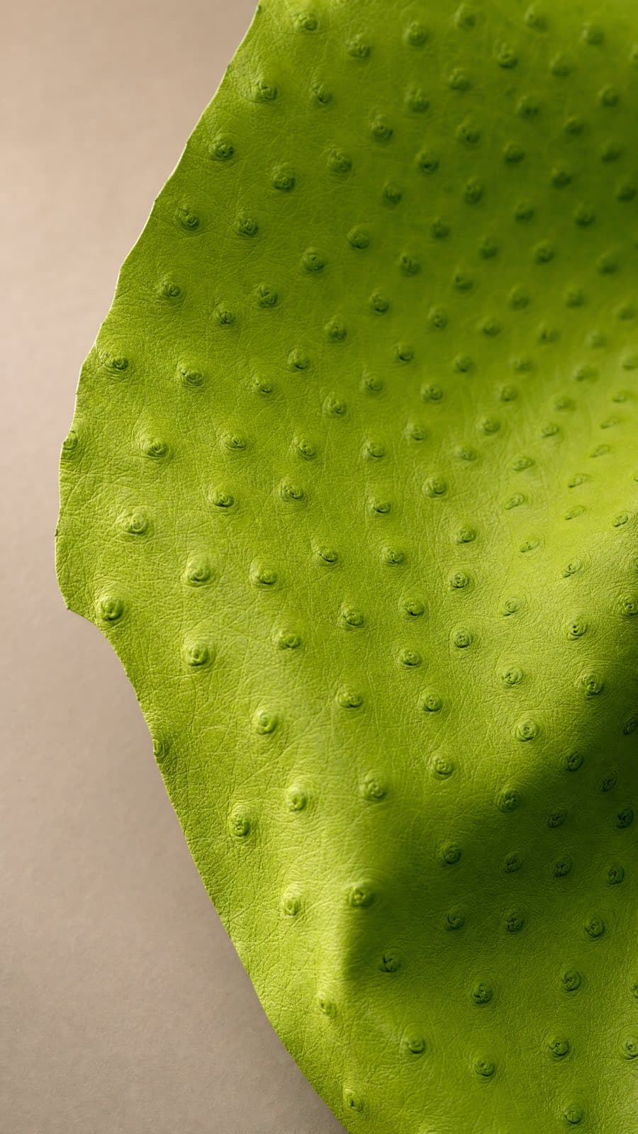 Ostrich hide — Lime green
