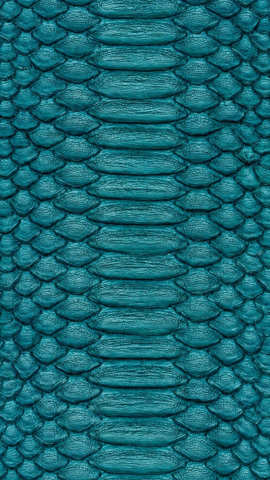 Python hide — Aqua blue