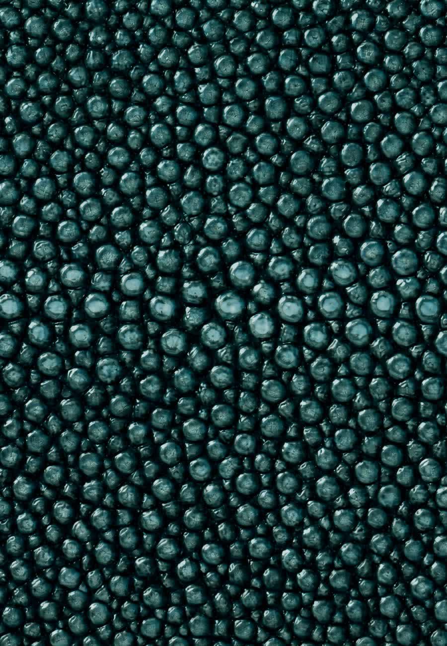 Stingray hide — Teal